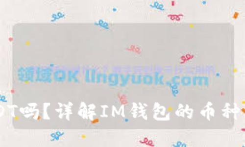 IM钱包支持USDT吗？详解IM钱包的币种支持及使用指南