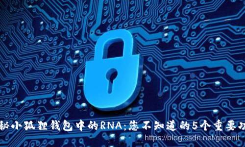 揭秘小狐狸钱包中的RNA：您不知道的5个重要功能