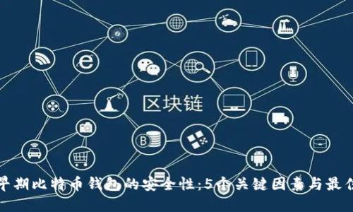 探讨早期比特币钱包的安全性：5个关键因素与最佳实践