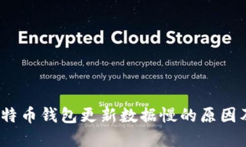 2023年比特币钱包更新数据慢的原因及解决方案