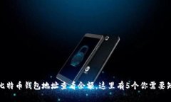 如何使用比特币钱包地址