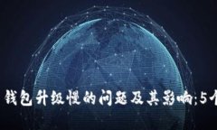 2023年比特币钱包升级慢的