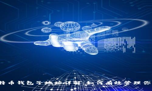 2023年比特币钱包子地址详解：如何有效管理你的加密资产
