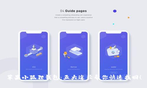 苹果小狐狸钱包：五大途径帮你快速找回！