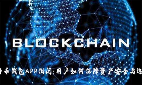 2023年比特币钱包APP倒闭：用户如何保障资产安全与选择替代方案