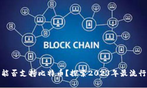 小狐狸钱包能否支持比特币？探索2023年最流行的钱包选择