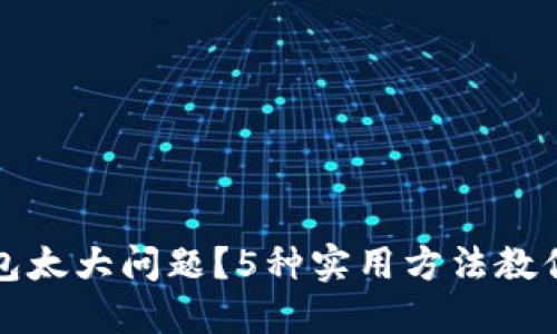如何解决比特币钱包太大问题？5种实用方法教你轻松管理钱包空间