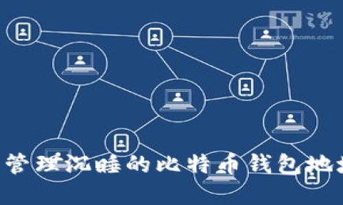 如何下载和管理沉睡的比特币钱包地址：全面指南