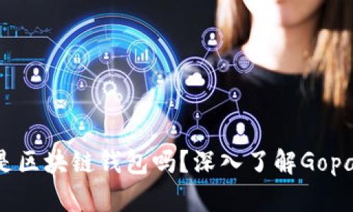 Gopay钱包：它是区块链钱包吗？深入了解Gopay的功能与特点