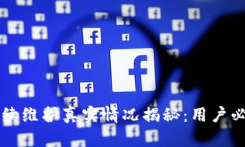 狐狸钱包BSC持续维护真实情况揭秘：用户必知的7个关键点