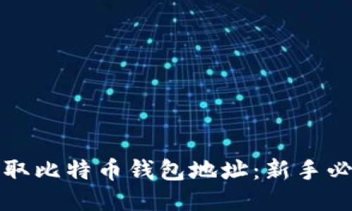 如何获取比特币钱包地址：新手必看指南