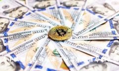 如何查看小狐狸钱包的版