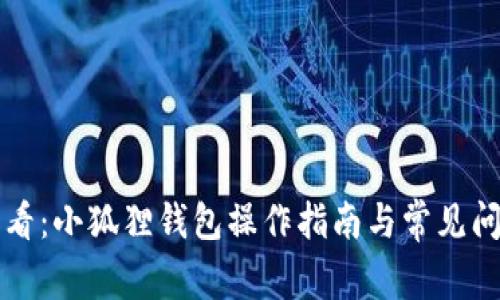 新手必看：小狐狸钱包操作指南与常见问题解答