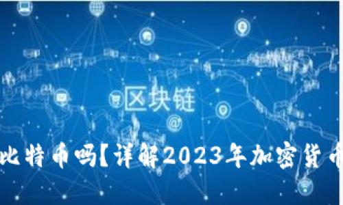 苹果钱包支持比特币吗？详解2023年加密货币支付发展趋势