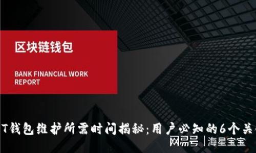 USDT钱包维护所需时间揭秘：用户必知的6个关键点