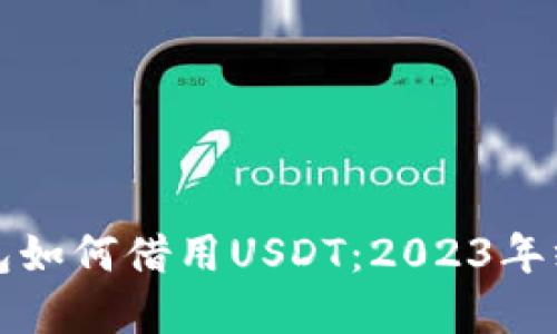 在TP钱包如何借用USDT：2023年终极指南