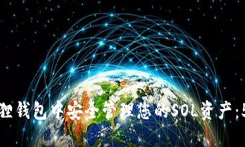 如何在小狐狸钱包中安全管理您的SOL资产：5个实用技巧