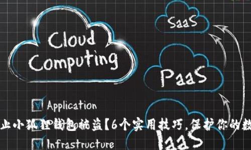 如何防止小狐狸钱包被盗？6个实用技巧，保护你的数字资产