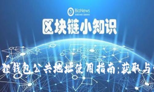 format2023年小狐狸钱包公共地址使用指南：获取与管理的10个实用技巧