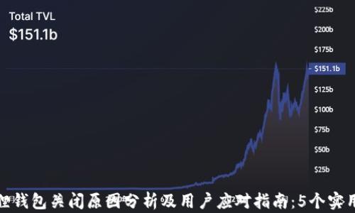 
小狐狸钱包关闭原因分析及用户应对指南：5个实用建议