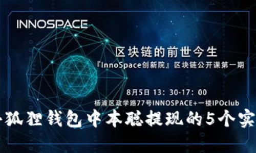 掌握小狐狸钱包中本聪提现的5个实用技巧