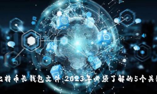 解密比特币长钱包文件：2023年必须了解的5个关键要素