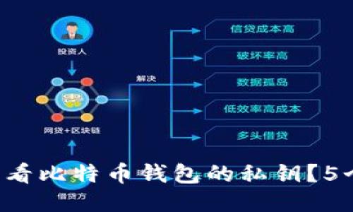 如何安全查看比特币钱包的私钥？5个必备步骤!