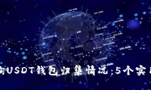 如何快速查询USDT钱包归集情况：5个实用方法与技巧