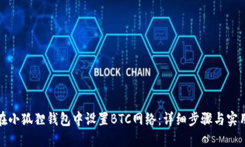 如何在小狐狸钱包中设置BTC网络：详细步骤与实用技巧