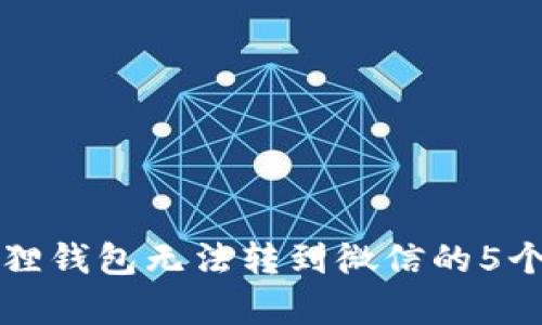 解决小狐狸钱包无法转到微信的5个有效方法