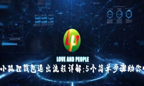 2023年小狐狸钱包退出流程详解：5个简单步骤助你顺利退出