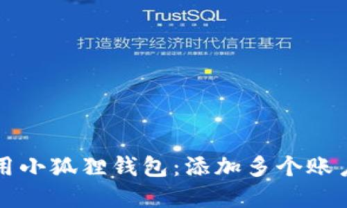 如何充分利用小狐狸钱包：添加多个账户的完整指南