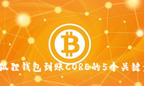 2023年小狐狸钱包到账CORE的5个关键步骤与技巧