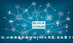 萌宠奇遇记：小狐狸意外