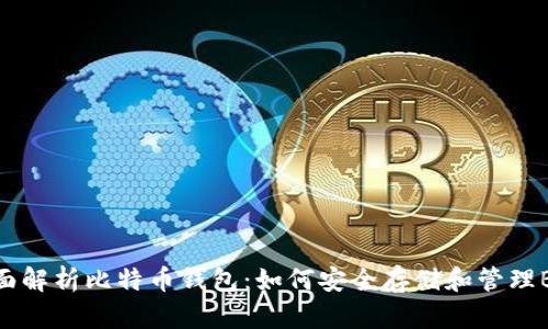 全面解析比特币钱包：如何安全存储和管理BCC