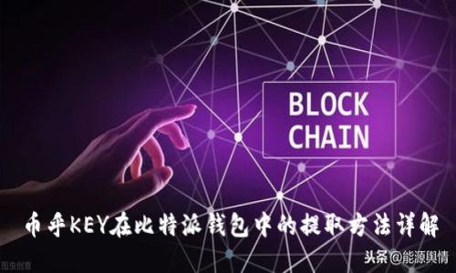 币乎KEY在比特派钱包中的提取方法详解