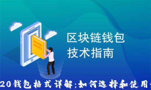 
USDT-ERC20钱包格式详解：如何选择和使用最佳的钱包