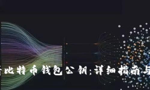:如何查看比特币钱包公钥：详细指南与实用技巧