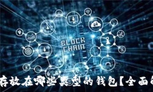   
USDT可以存放在哪些类型的钱包？全面解析与推荐