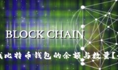 如何查找比特币钱包的余