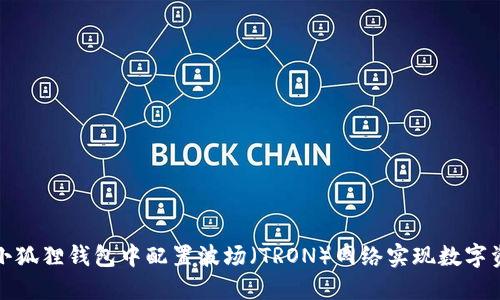 如何在小狐狸钱包中配置波场（TRON）网络实现数字资产管理