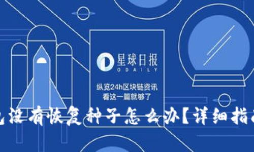 : 比特币钱包没有恢复种子怎么办？详细指南与解决方案