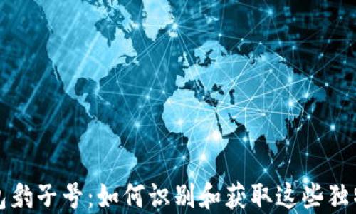 
区块链钱包豹子号：如何识别和获取这些独特钱包地址