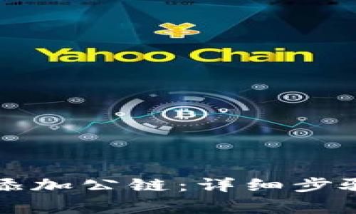 小狐狸钱包如何添加公链：详细步骤与常见问题解析