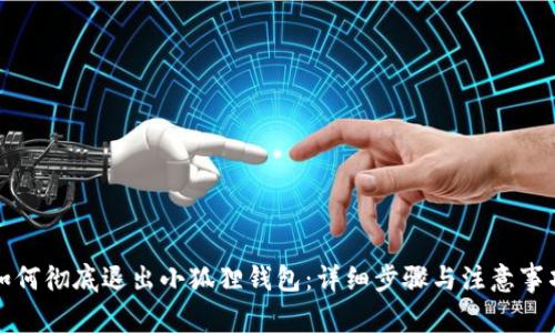 如何彻底退出小狐狸钱包：详细步骤与注意事项