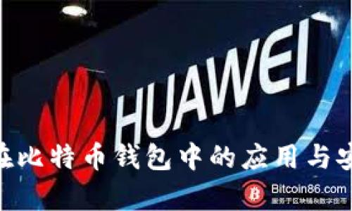 AES加密在比特币钱包中的应用与安全性分析