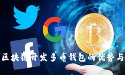 全面解析区块链开发多币钱包的优势与实施策略