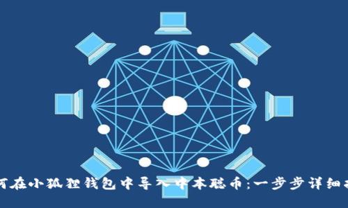 如何在小狐狸钱包中导入中本聪币：一步步详细指南