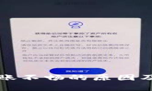 小狐狸钱包转账不畅的原因及解决方案解析