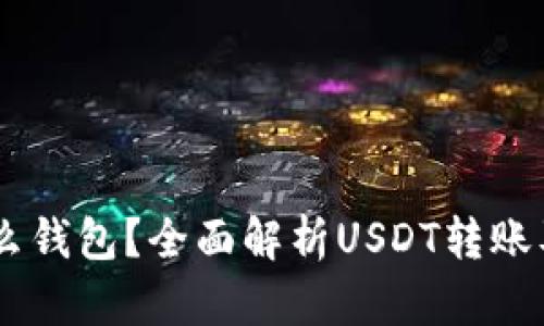 : USDT提到什么钱包？全面解析USDT转账及钱包选择指南
